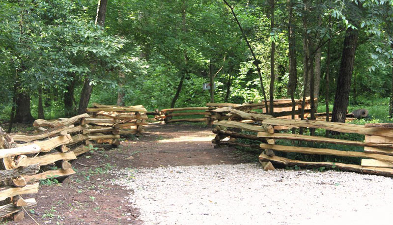 Ancient Cottonwood Trail Ancient Cottonwood Trail